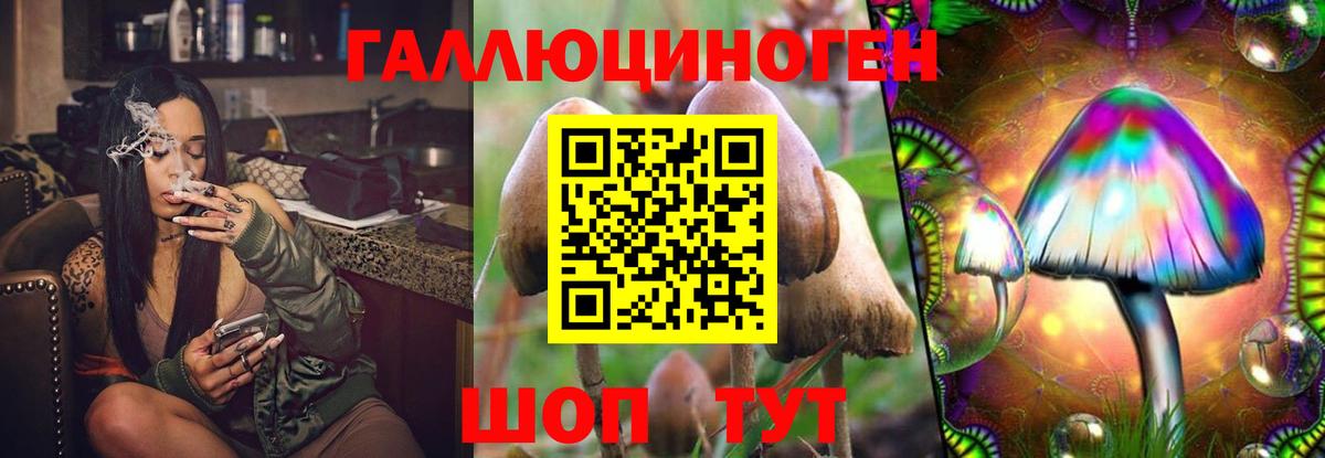 Галлюциногенные грибы Psilocybine cubensis Волоколамск